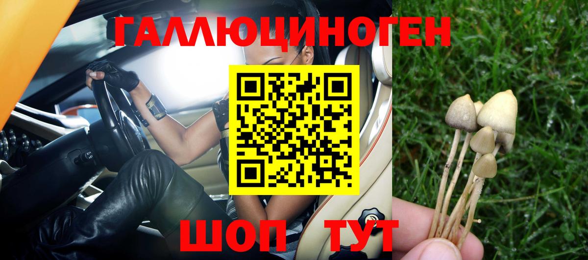Псилоцибиновые грибы мухоморы Торжок