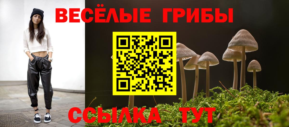 Торжок  Галлюциногенные грибы GOLDEN TEACHER  Вход с VPN  Галлюциногенные грибы ЛСД 